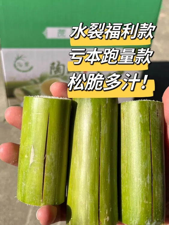 陶山甘蔗3斤水裂果肉清甜松脆多汁