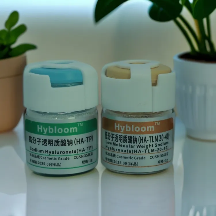 玻尿酸 透明质酸钠高低分子护肤品原料