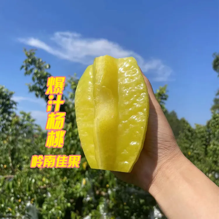 【京东包邮】果园现摘新鲜清甜树上熟杨桃当季水果3-5斤装鲜嫩多汁