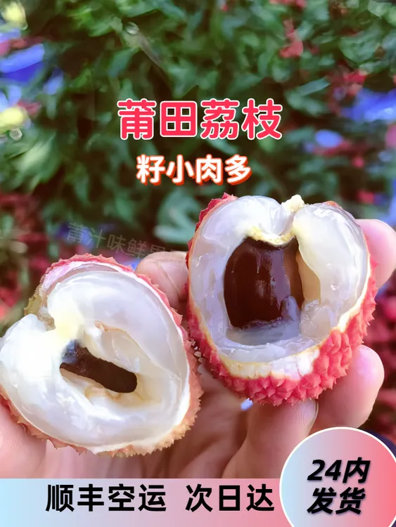 顺丰空运莆田荔枝状元红新鲜水果礼盒现采摘现发货荔枝直播老树