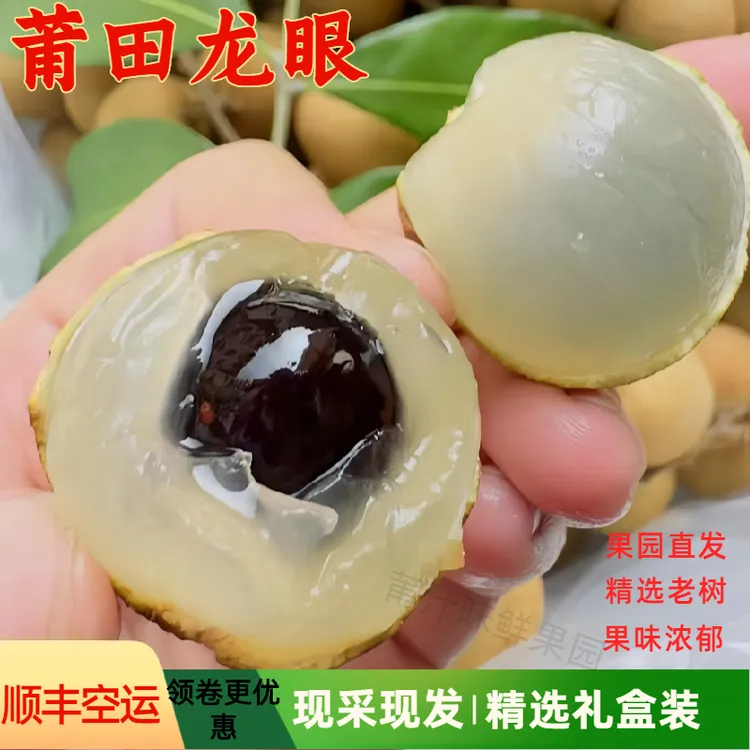 莆田龙眼精选新鲜大果礼盒装顺丰空运包邮莆汁味当季水果冷链包邮