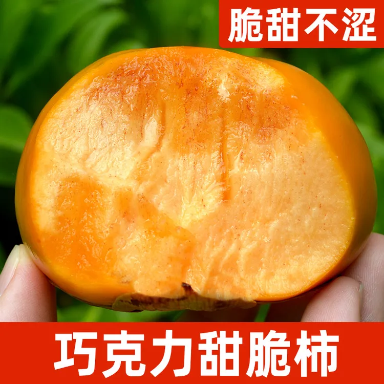 广西桂林巧克力甜脆柿子硬柿子莲花糖心脆柿新鲜应季水果4.5-9斤