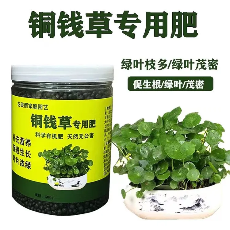 铜钱草专用肥营养肥家用养花肥料盆栽通用水培土培钱币草金钱莲肥