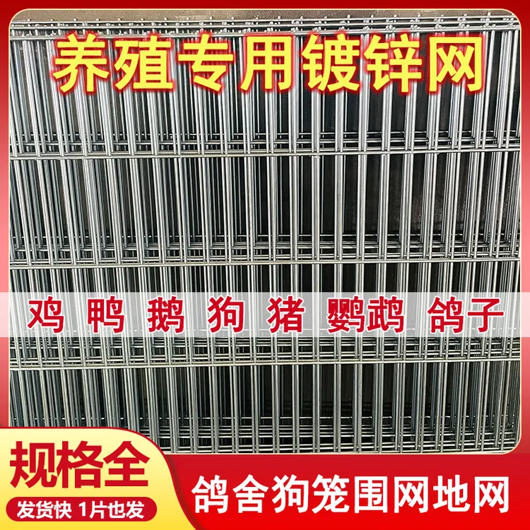 镀锌铁丝网片长孔定做热镀锌鸽舍狗笼踏网养殖围栏网加密钢丝网栏