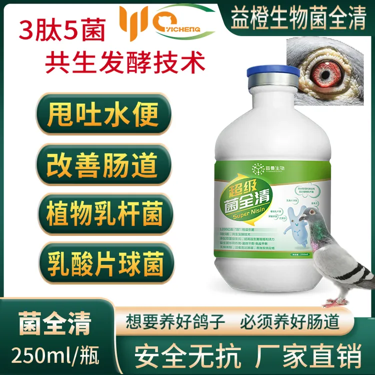 益橙超级菌全清鸽子禽类用肠道调理元宝鸽鸽子种鸽幼鸽养殖种鸽赛