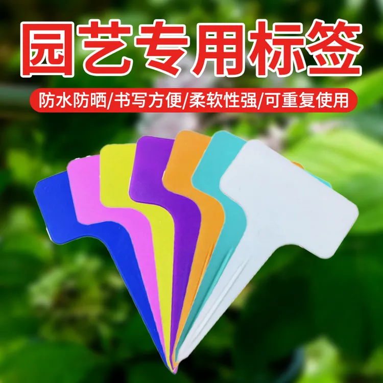 植物标签指示牌微景观防水插地牌花卉园艺标签牌T型多肉标签彩色