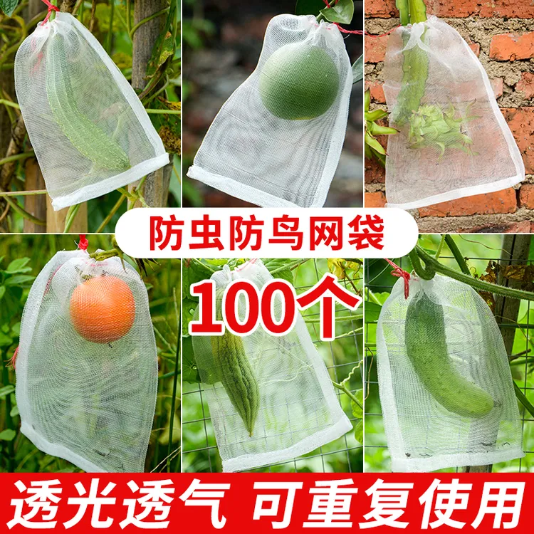 果树防虫防鸟纱网袋保护葡萄袋无花果番石榴高粱草莓芒果桃子套袋