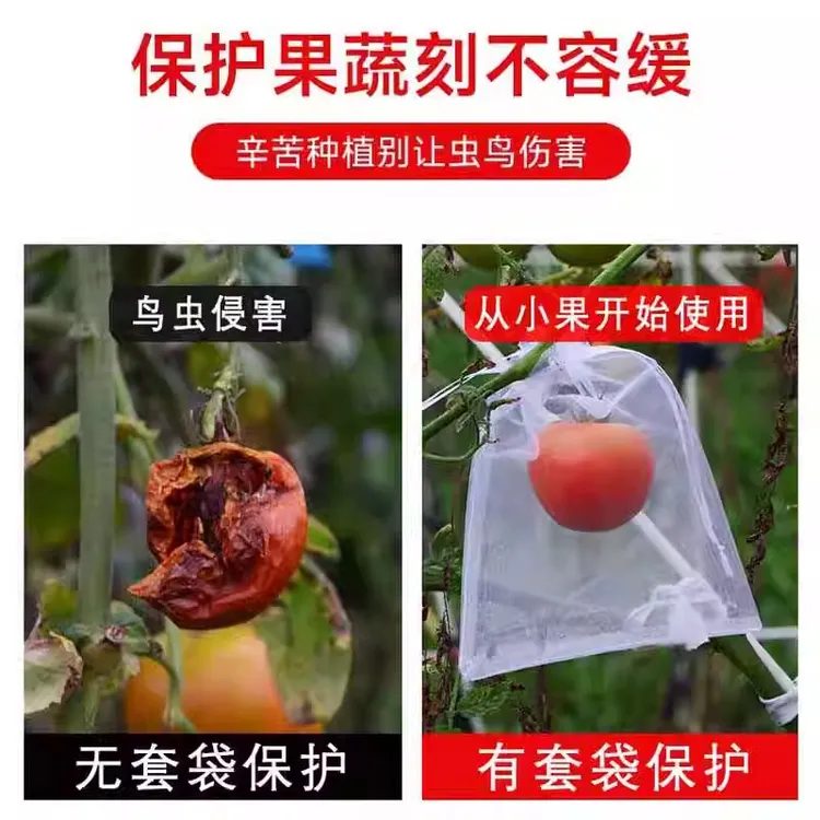 果树水果套袋防虫袋防鸟网纱袋无花果葡萄桃子草莓保护袋果蝇种植