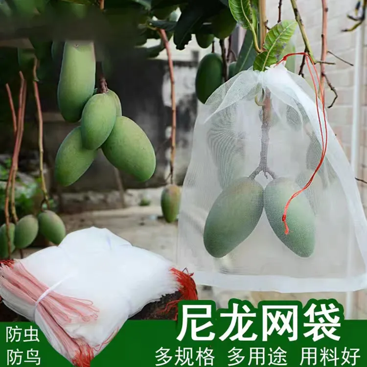 果树防虫防鸟纱网袋保护葡萄袋无花果番石榴高粱草莓芒果桃子套袋