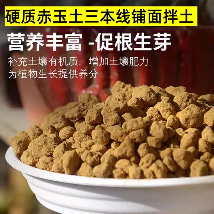 日本进口硬质赤玉土三本线小颗粒盆景专用爬宠铺面纯赤玉土大包装