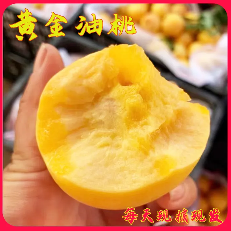 【黄金油桃】随州产地新鲜直发脆甜多汁当季水果晚熟油桃整箱包邮