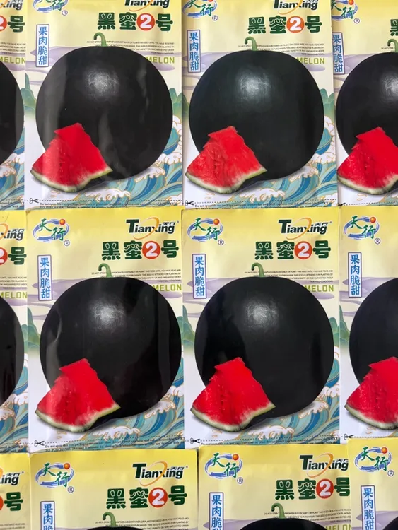 黑蜜2号 西瓜种子 30粒左右 脆甜多汁