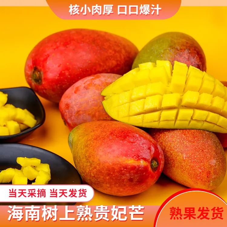 海南树上自然熟贵妃芒果净重5斤当季新鲜水果现摘现发顺丰包邮