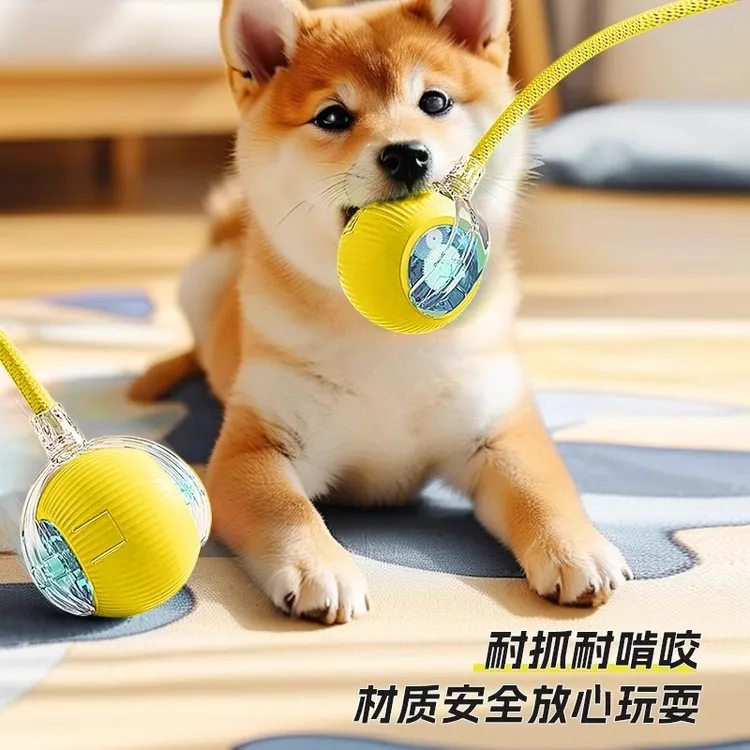 狗狗玩具球自动遛狗智能电动逗狗耐咬小狗玩的宠物狗自嗨解闷神器