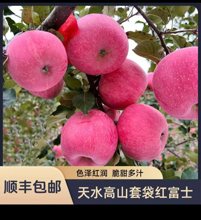 （顺丰包邮)甘肃天水冰糖心红富士脆甜多汁产地直发整箱包邮
