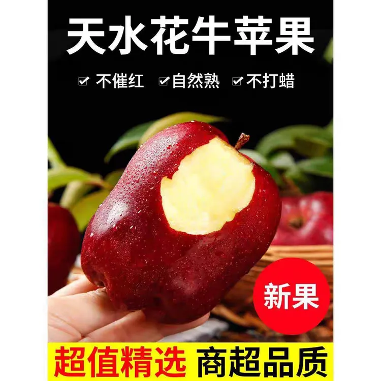 （顺丰包邮）天水花牛苹果软糯香甜老人孕妇辅食现摘现发