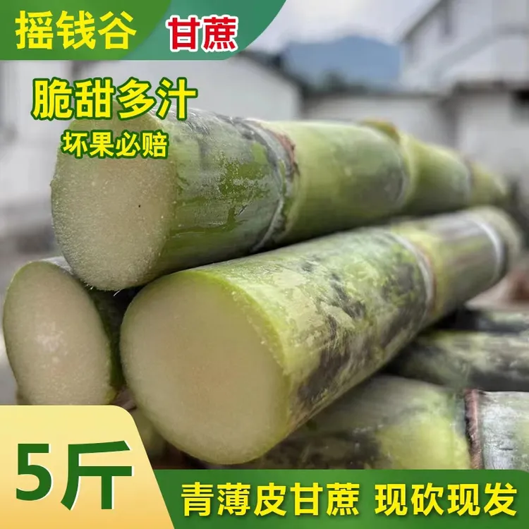 皖南水果甘蔗5斤装