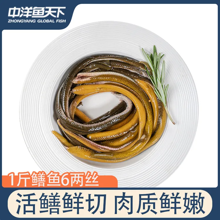 【响油鳝丝名菜5盒】中洋鱼天下鳝丝去头剔骨除内脏黄鳝丝