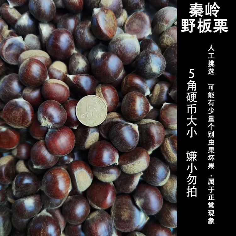 陕南秦岭深山野生板栗【陶山娃助农代卖】