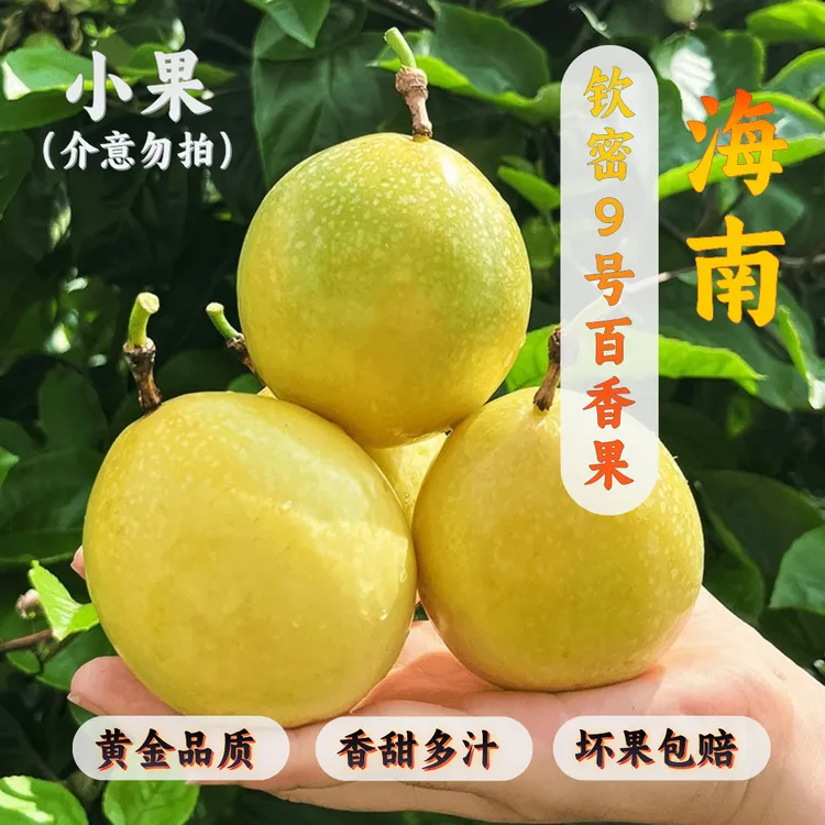 【小果特惠】优选粤西黄金百香果新鲜香甜口感多汁鲜甜无酸