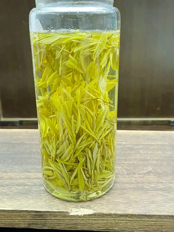 【新号补贴款】H-2直条黄金芽 奶香味原产地 浙江安吉250克- 500克