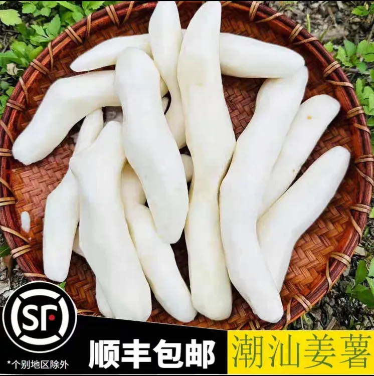 潮汕葵潭沙地姜薯新鲜现挖现发产地直供脆糯可煮汤顺丰冷链包邮