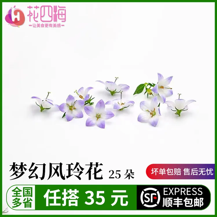 新鲜 风铃花 25朵 梦幻风铃花 日料西餐酒店餐饮摆盘装饰点缀花1g