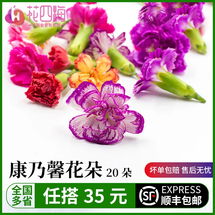 新鲜 康乃馨 混合花朵  酒店蛋糕酒店饭店摆盘装饰鲜花10g