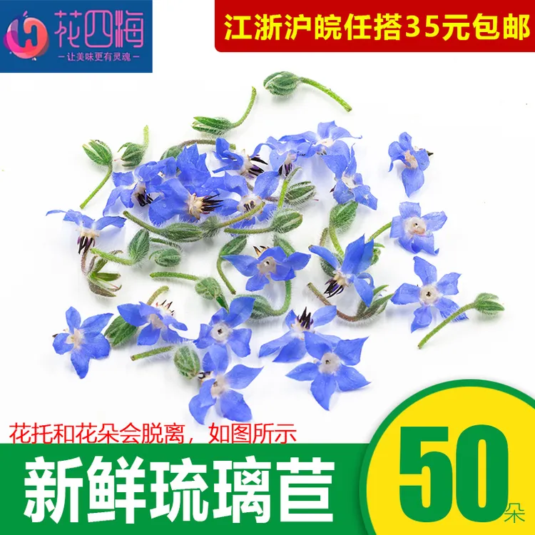 花四海新鲜琉璃苣 蓝星花可食用鲜花草 食用花酒店西餐装饰摆盘5g