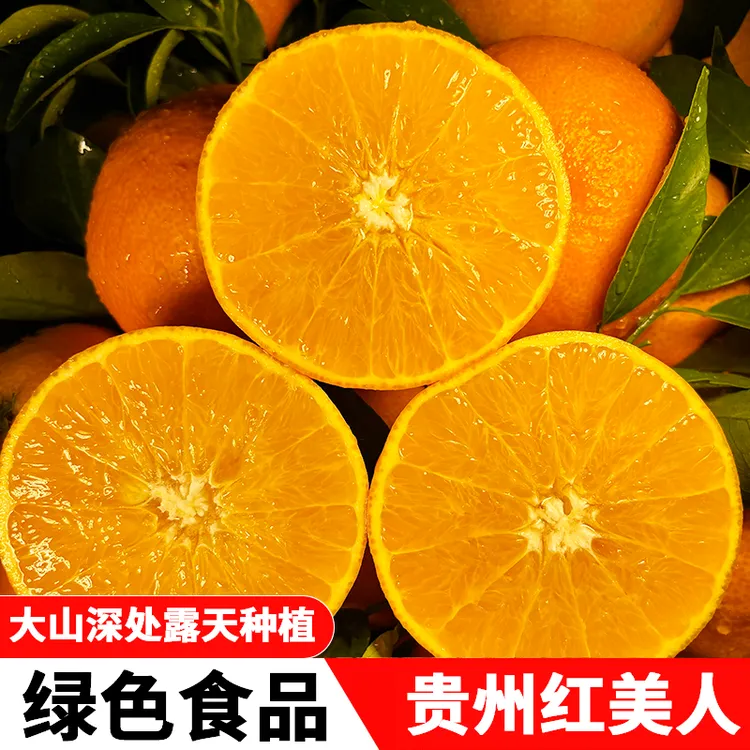 【贵州红美人】1斤净重乌江缘果冻橙试吃装手剥橙甜橙柑橘