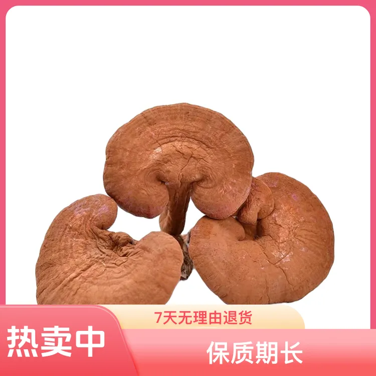 益合【赤灵芝】长白山泡水可泡酒专用灵芝品质原产地新货优质煲汤