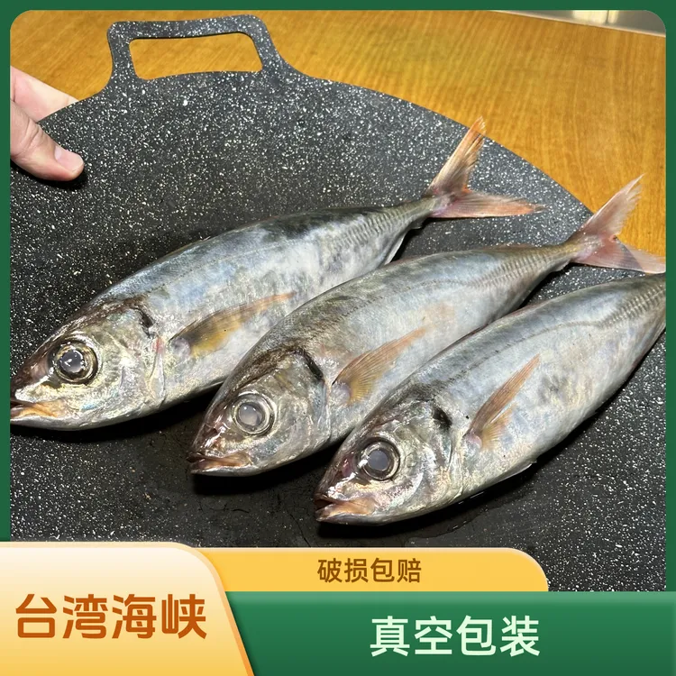 红尾大巴浪鱼个大肥美油脂丰富独立真空包装