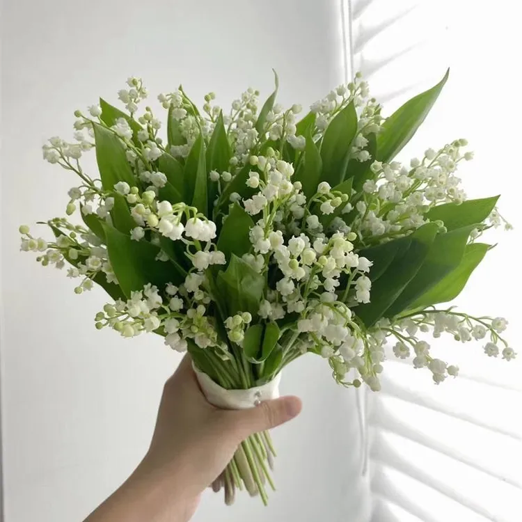 荷兰进口品种稀有白色铃兰花花中爱马仕鲜切花高级手捧花鲜花速递