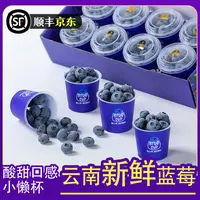 【当季限量版】8盒礼盒装TY顺丰京东蓝莓新鲜水果当季1盒60g共480g