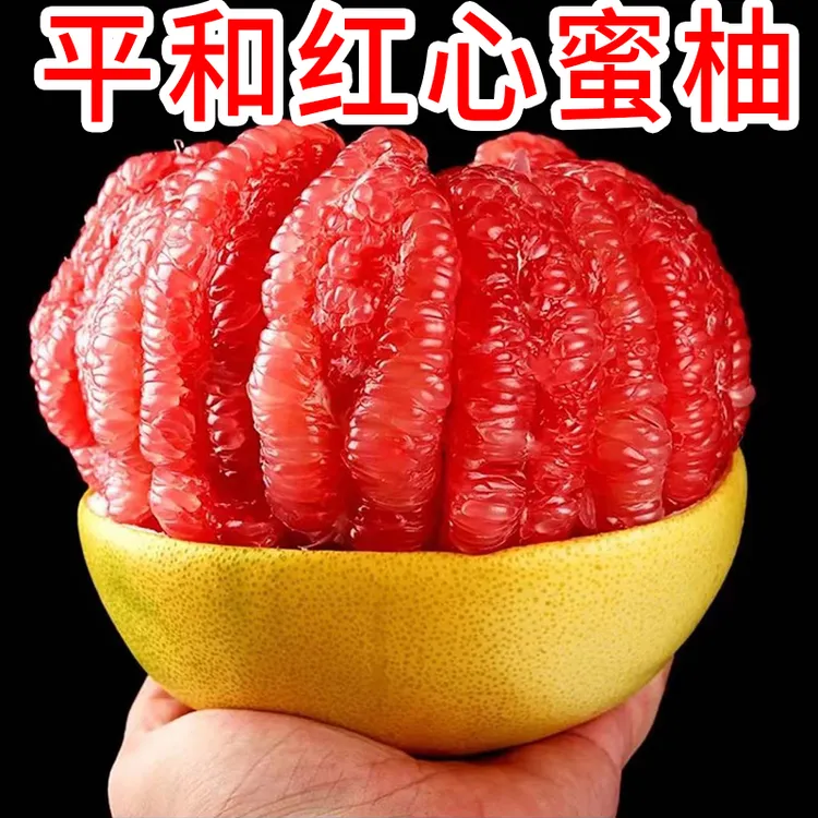 琯溪红心蜜柚 福建平和琯溪蜜柚 2025年新鲜红心柚子 现摘现发