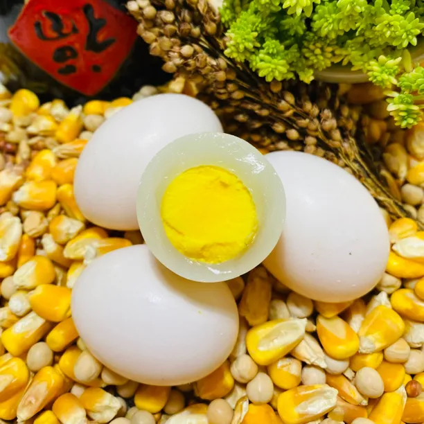 山东农家五谷杂粮鸽蛋