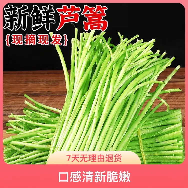 原产地现摘新鲜农家蔬菜嫩芦蒿杆子藜蒿手工去叶老根净菜泥蒿野菜