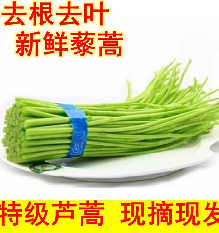 原产地现摘新鲜农家蔬菜嫩芦蒿杆子藜蒿手工去叶老根净菜泥蒿野菜