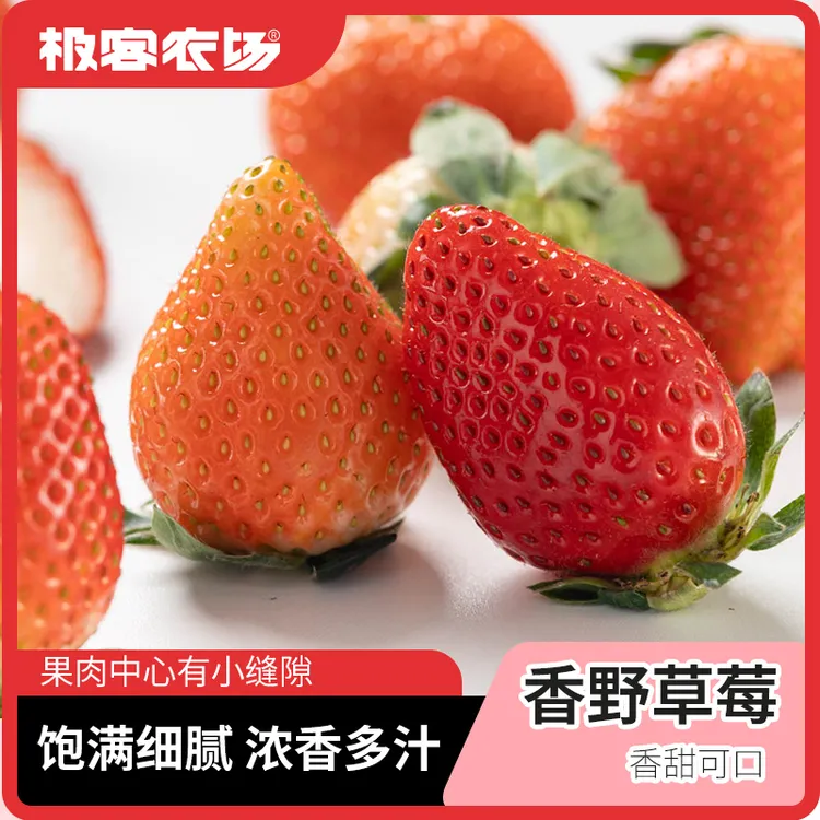 高山生态香野草莓| 国外引进品种香气浓郁汁水充盈 到货即食 顺丰