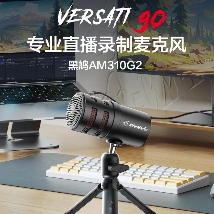 AVerMedia/圆刚AM310G2专业级USB电容直播麦克风喊麦游戏录音