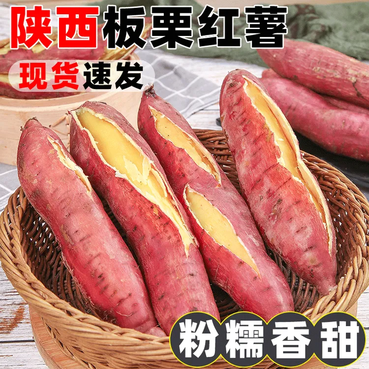 陕西新鲜番薯板栗红薯皮薄肉厚沙地种植粉面好吃香甜入口美味地瓜