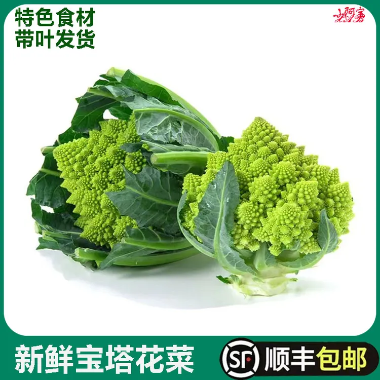 宝塔花菜新鲜蔬菜罗马花椰菜西餐酒楼饭店特色食材带叶子顺丰包邮