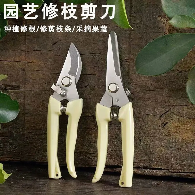 剪刀奶白色不锈钢修枝园艺摘果剪花艺剪刀插花工具家用剪园林家用商品图