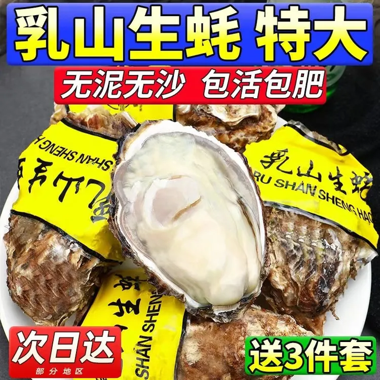 【5斤送5斤】乳山特大生蚝刺身级牡蛎生蚝海鲜包活包鲜10斤顺丰包邮
