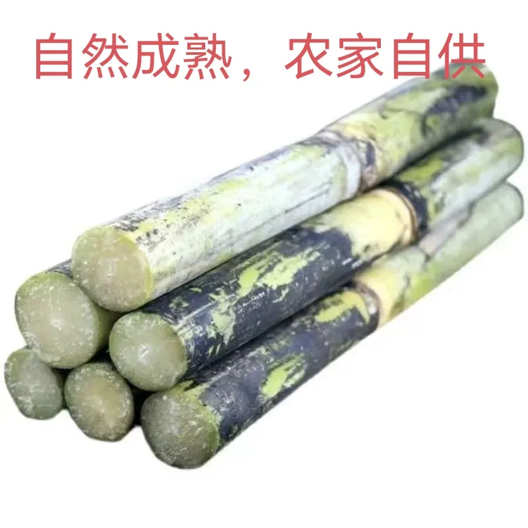 四川青皮甘蔗新鲜手撕脆甜新鲜现砍现发产地直发鲜甜爆汁应季水果