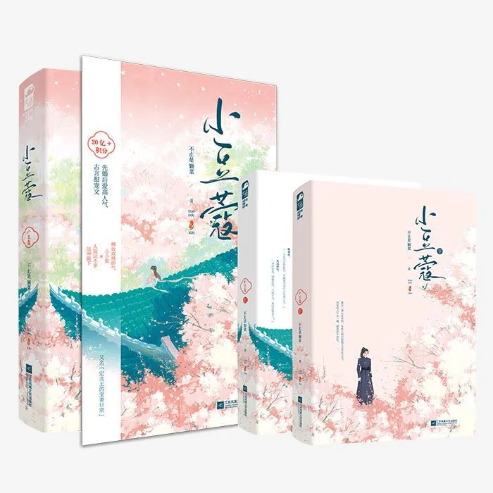  印特签【大鱼文学】小豆蔻 不止是颗菜著古言甜宠先婚后爱