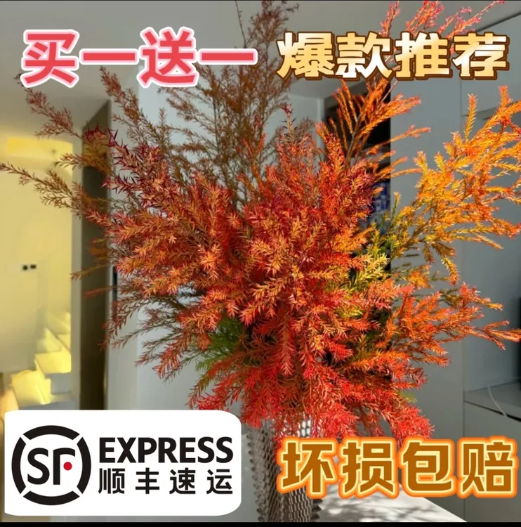 【拍1送1千层金】A级千层金黄金香柳，秋天特定木质清香可做干花