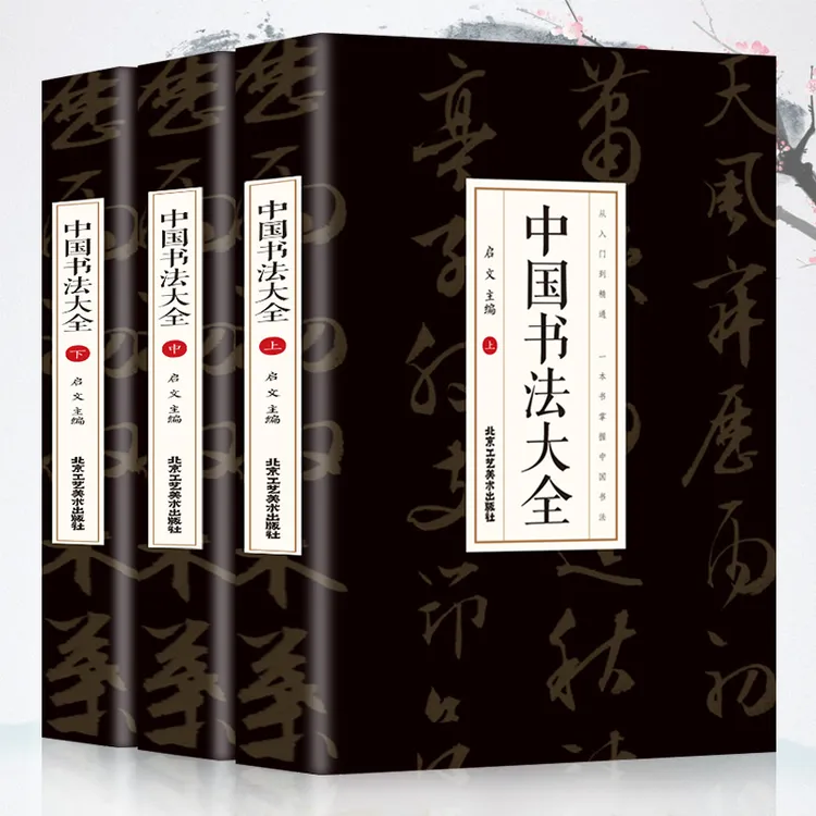 中国书法大全上中下3册书法艺术基础知识从入门到精通楷书行书M
