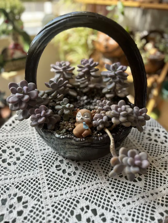柴烧手工花盆提篮系列(手工柴烧窑变盆 尺寸 窑变色略有区别)
