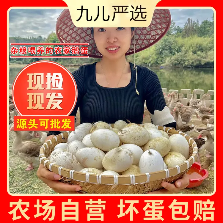 【九儿家】现捡现发新鲜土鹅蛋单黄蛋一箱12个单个重120g左右